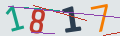 verifycode